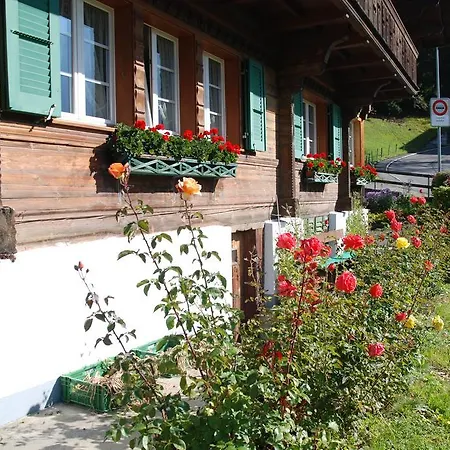 Chalet Tuftbach Appartement